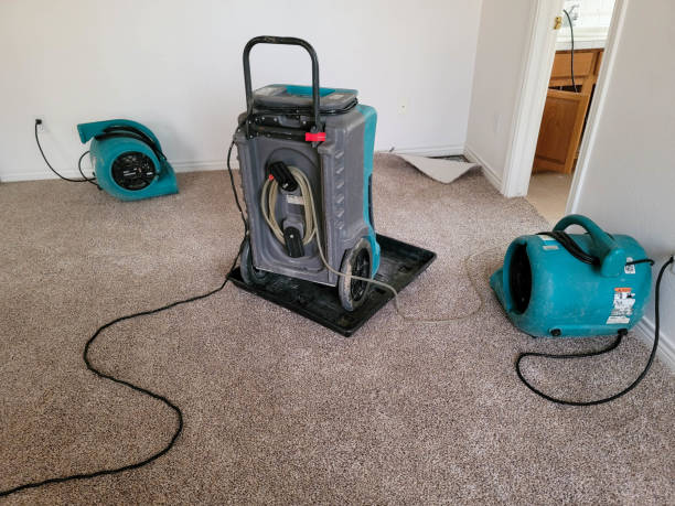 Best Water damage restoration near me  in Wauregan, CT