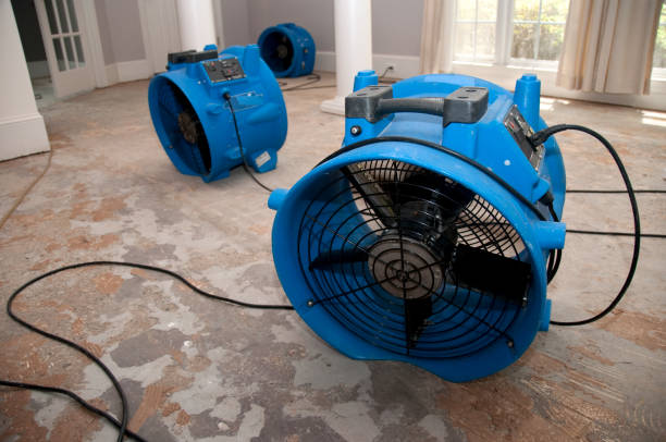 Best Water damage restoration near me  in Wauregan, CT