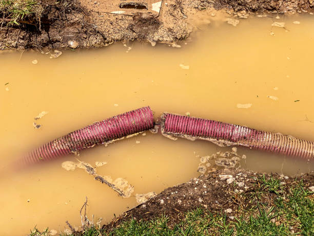 Best 24/7 water damage repair  in Wauregan, CT