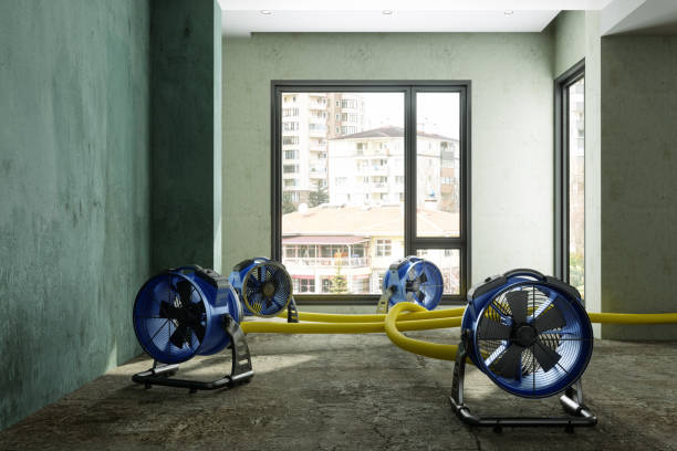 Best 24/7 water damage repair  in Wauregan, CT